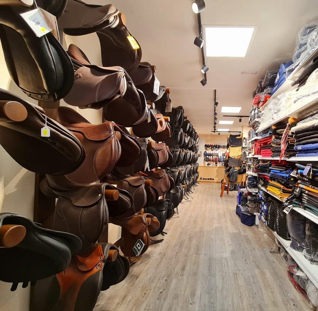 Mundo ecuestre - Imagen 1