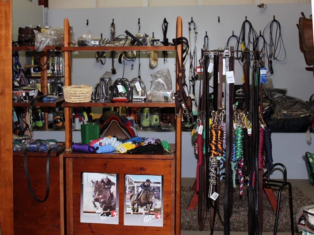 Mundo ecuestre - Imagen 3