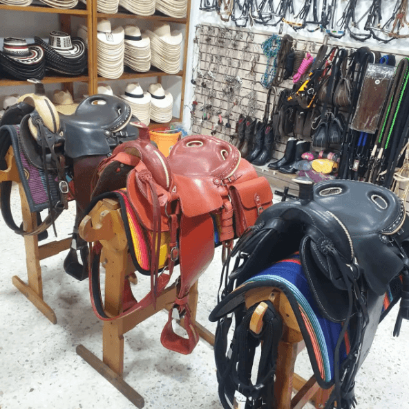 Test Publicar 01 - Editar - Imagen 1