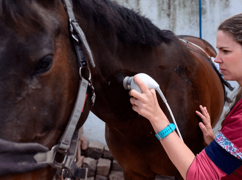 Test Publicar 01 - Editar - Imagen 5