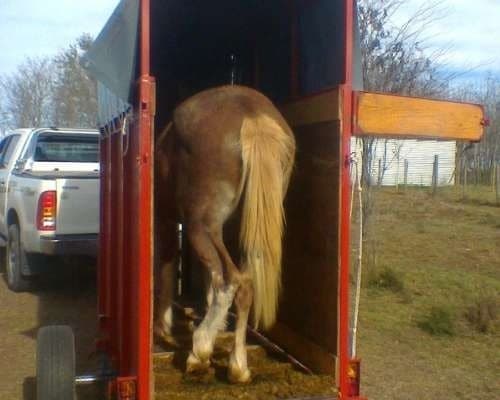 Transporte Mundo - Imagen 2