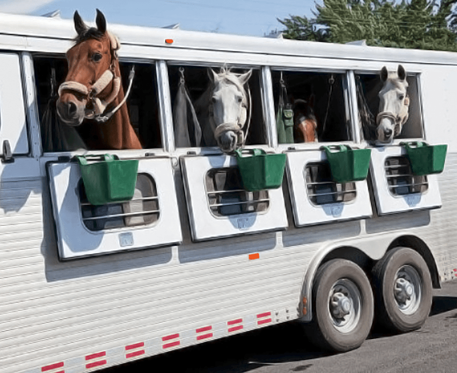 Test Publicar 01 - Imagen 2