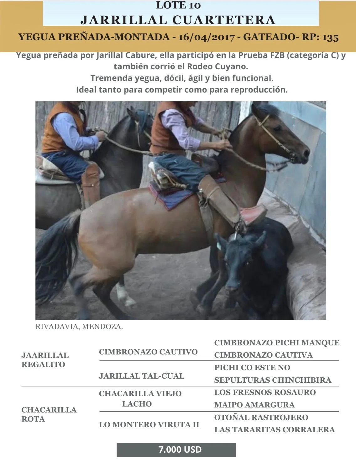 Jarillal Cuartetera