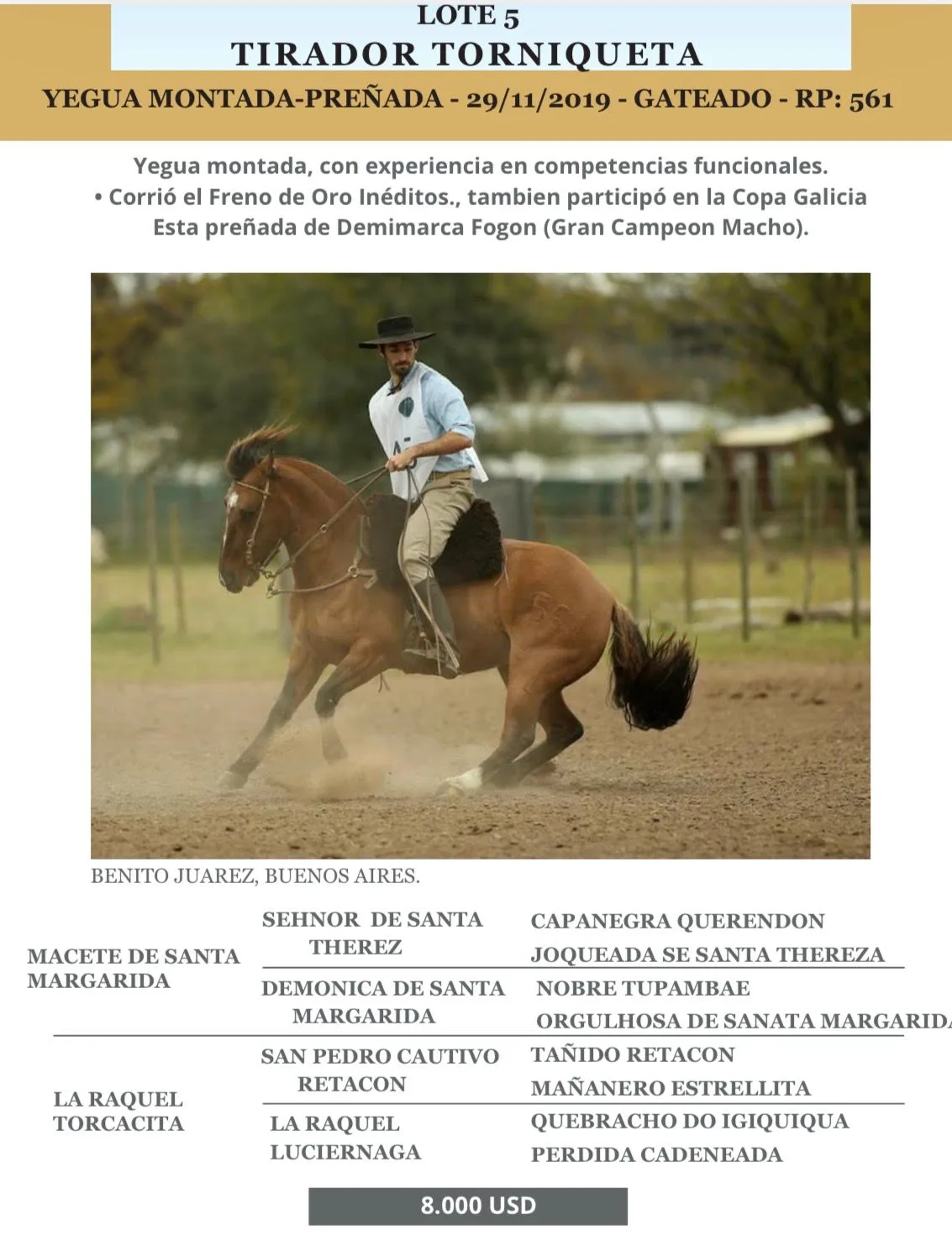 Tirador Torniqueta