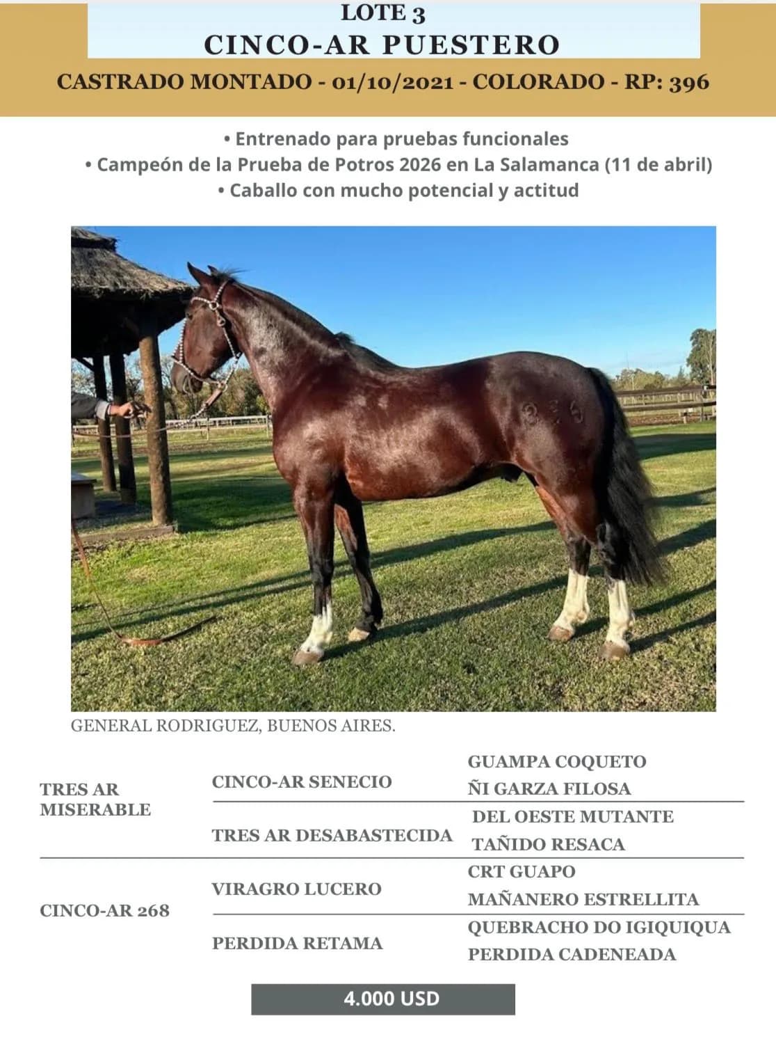 Cinco-AR Puestero