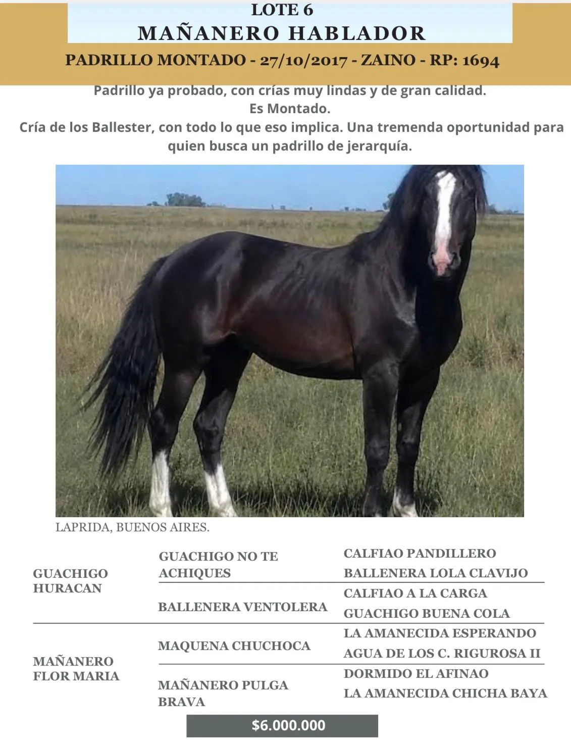 Mañanero Hablador