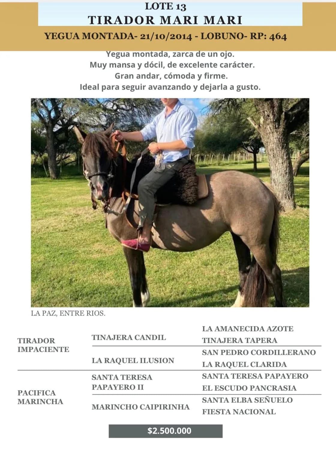 Tirador Mari Mari