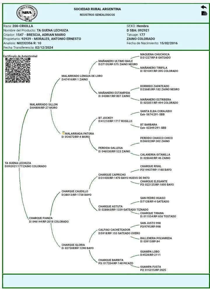 Ta gueno lechuza - Imagen 3