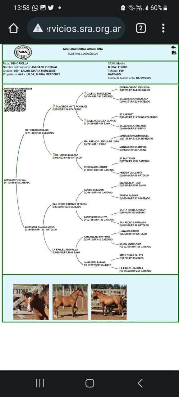 Amigazo Puntual - Imagen 2