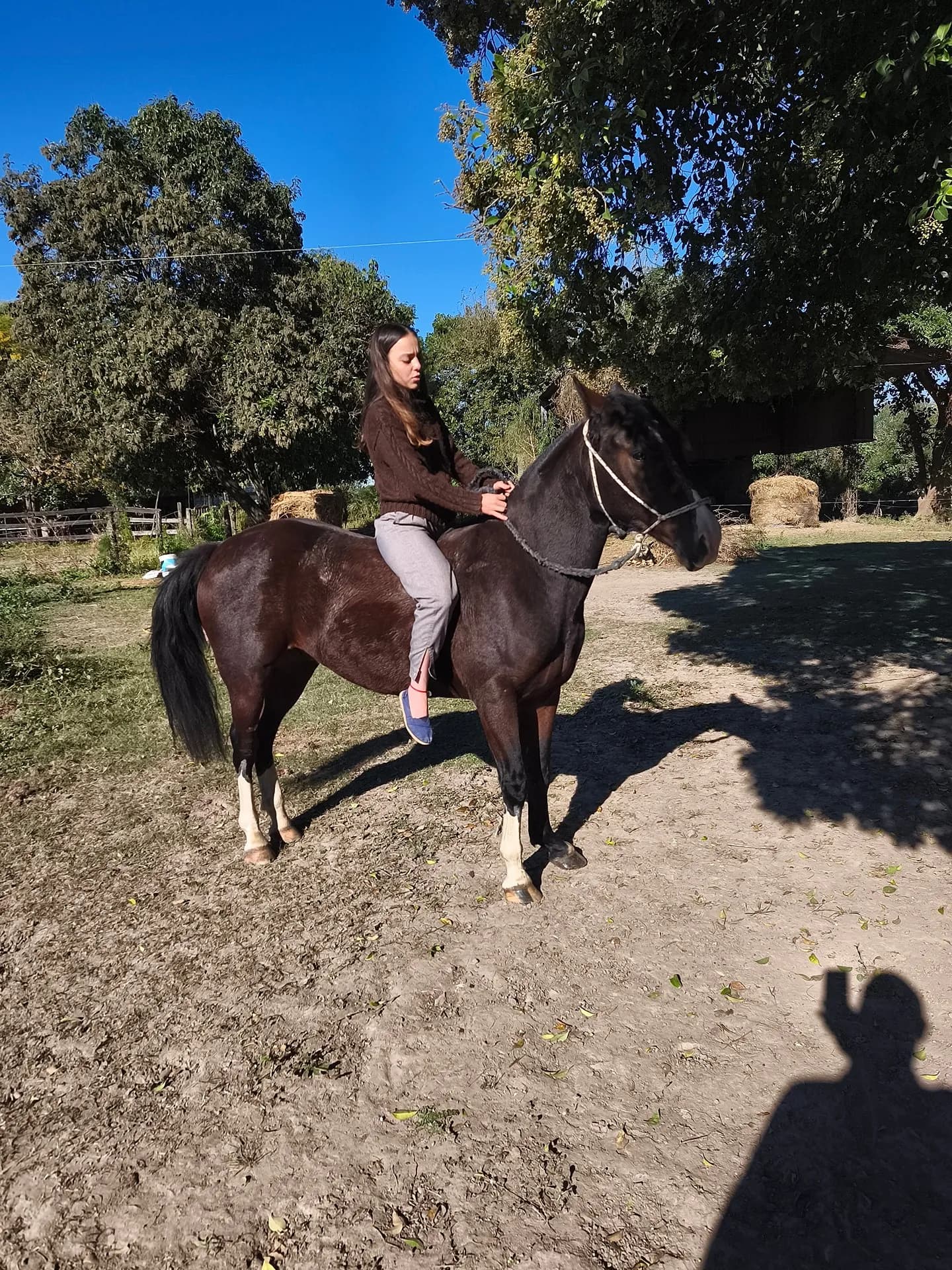 Cachivache Tritri Zarquito - Imagen 3
