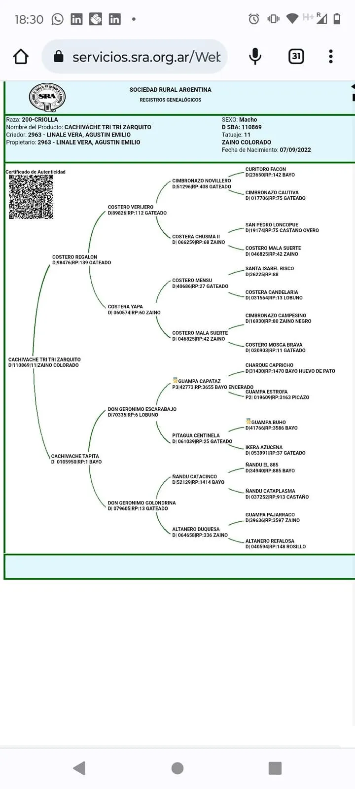 Cachivache Tritri Zarquito - Imagen 2