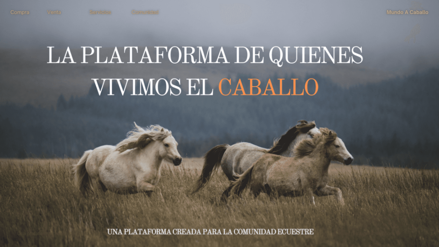 Mate Criollo - Imagen 1