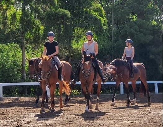 Tinajera Mundo - Imagen 3