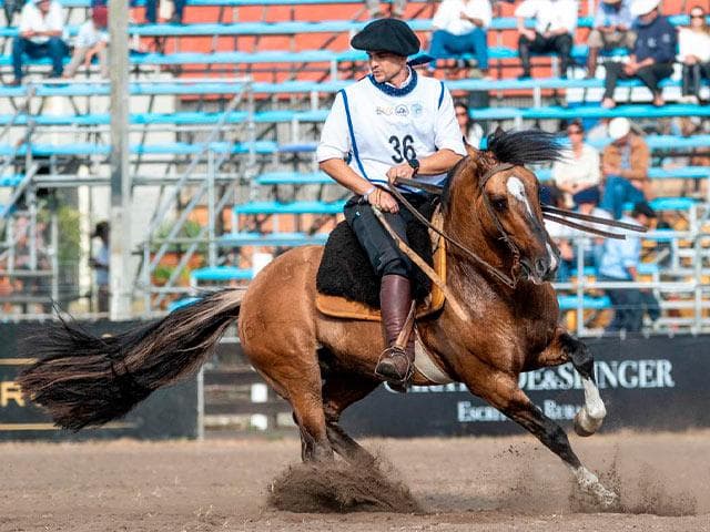 PYA GUAZÚ ESCUDO — lote 2