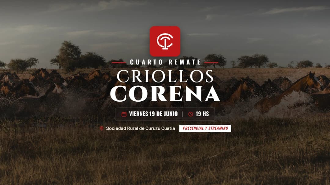 Criollos Corena IV - Imagen 1