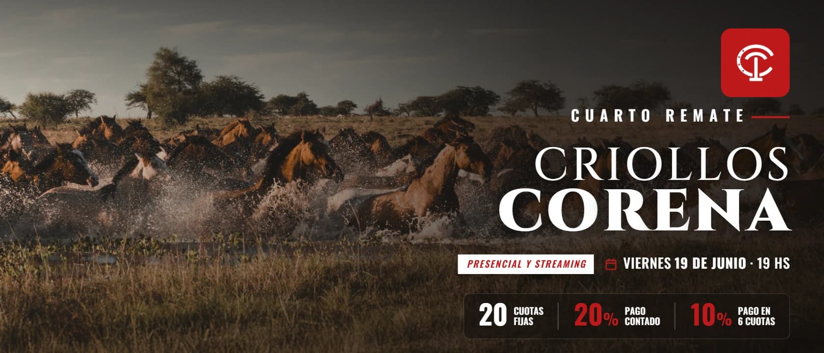 Criollos Corena IV