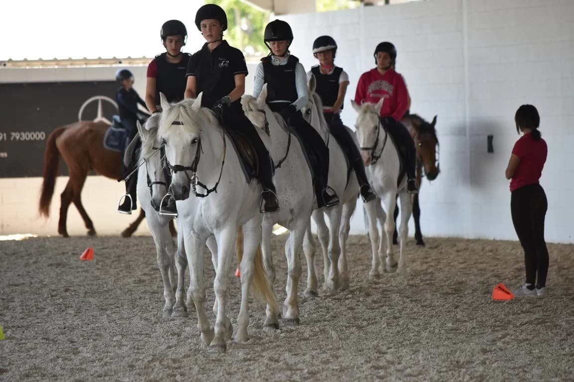 Equitación Mundo - Imagen 1