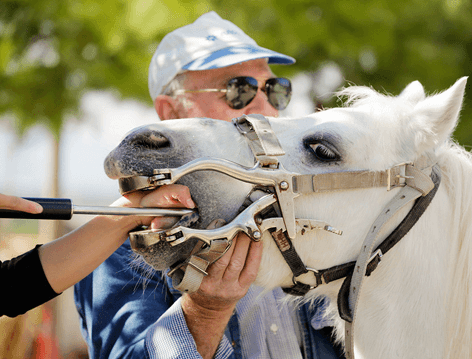 Test Publicar 01 - Imagen 4